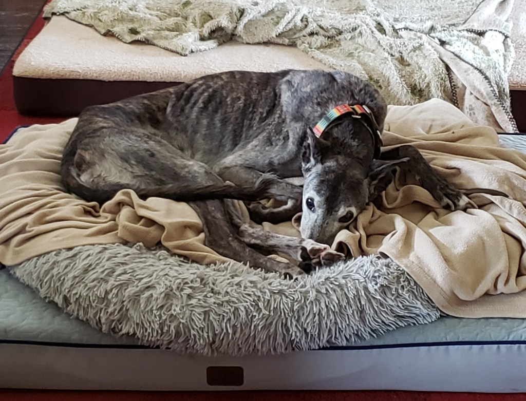 Katy lying on her bed