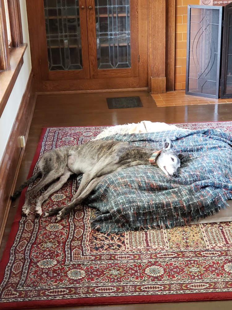 Katy lying with only half her body on her bed