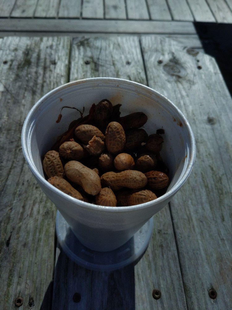 Container of boiled peanuts on a wooden bunch.