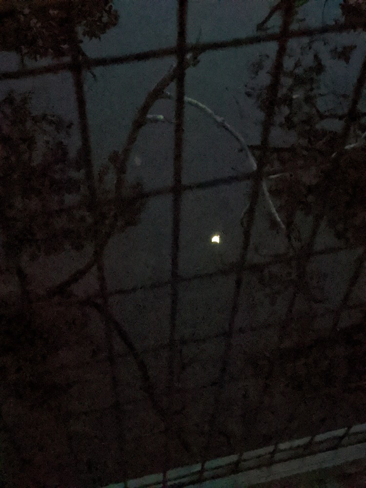 moon reflected in water at Gordon River Greenway