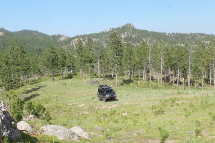 Delica van in the middle of the forest