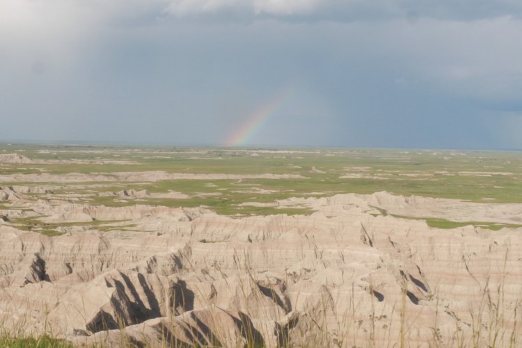 rainbow over the grasslands