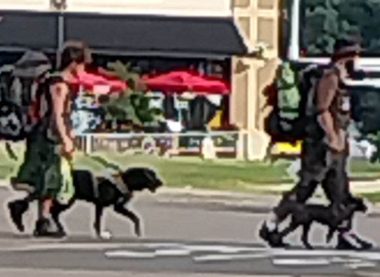 young couple with backpacks and dogs walking down the road