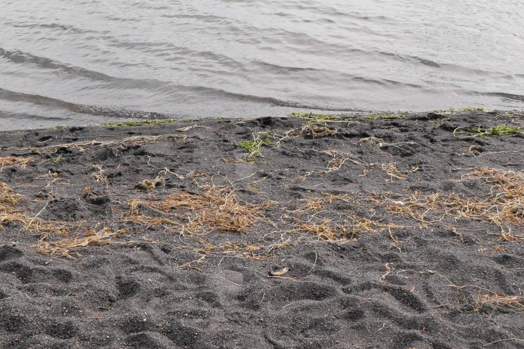 Black sand on edge of lake