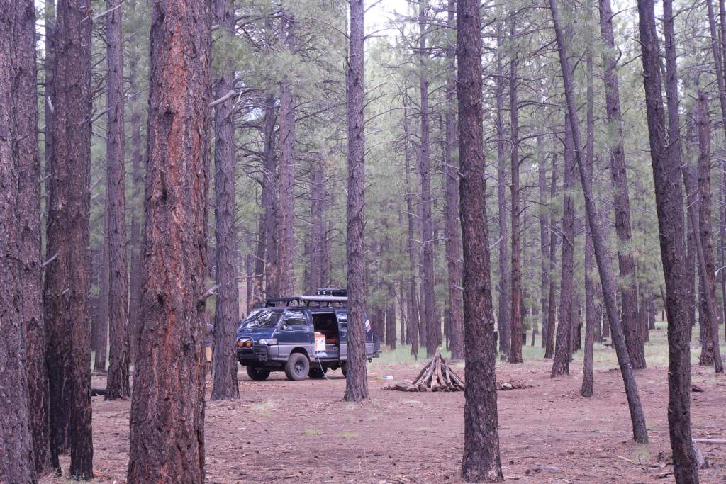 van in the woods next to a fire pit