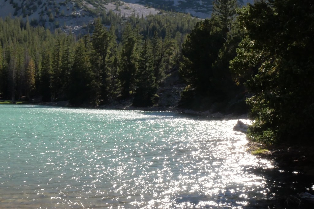 water sparkling on water of alpine lake surrounded by pine trees with snow covered mountain in background